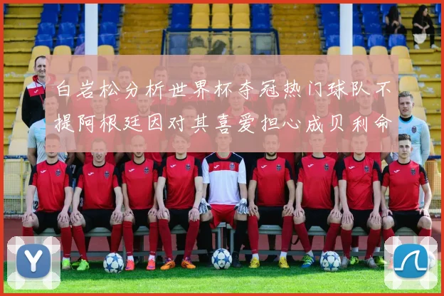 白岩松分析世界杯夺冠热门球队不提阿根廷因对其喜爱担心成贝利命运